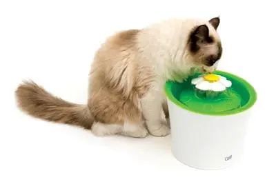 Catit Senses 3.0 Flower Fountain (drikkeautomat)